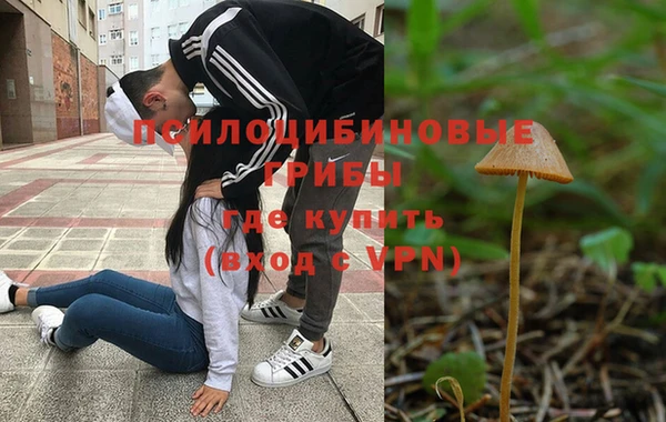 круглые Алзамай