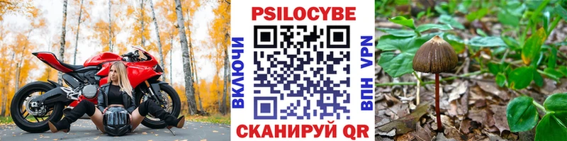 Галлюциногенные грибы Psilocybine cubensis Лобня