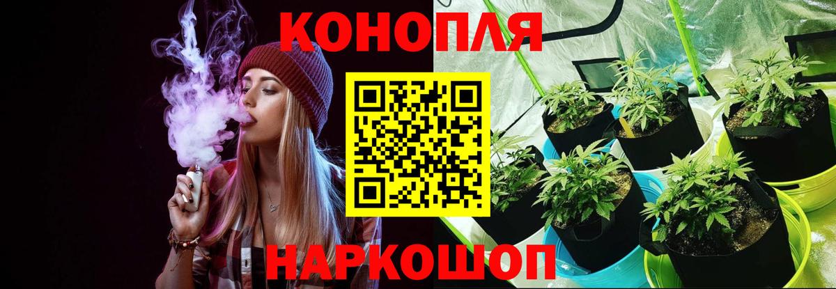 Конопля гибрид Лобня